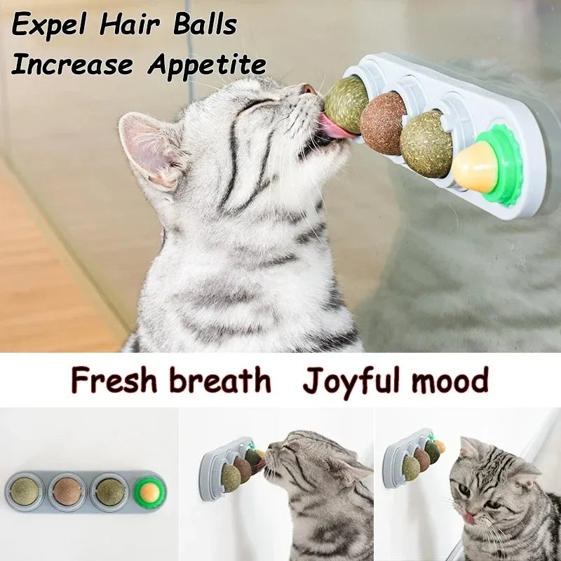 4-in-1 Rotating Catnip Silver Vine Ball