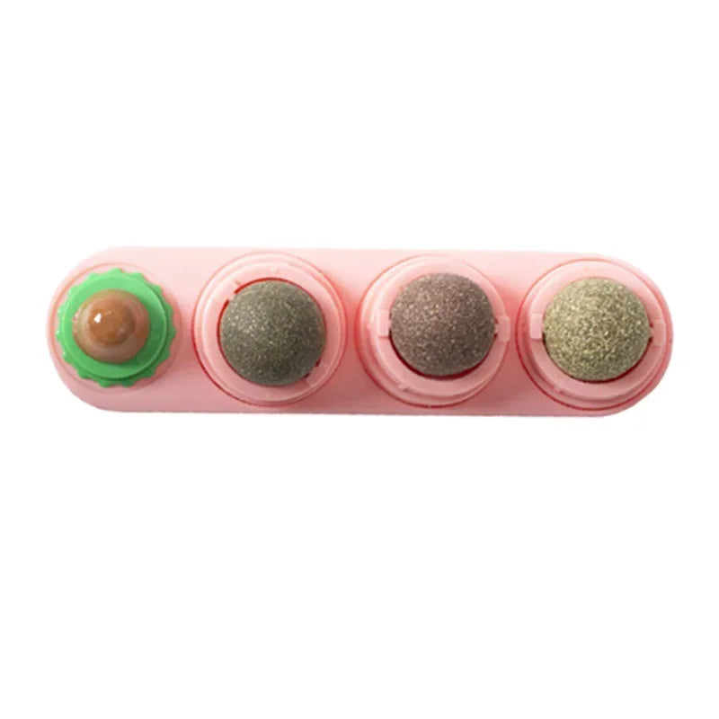 4-in-1 Rotating Catnip Silver Vine Ball