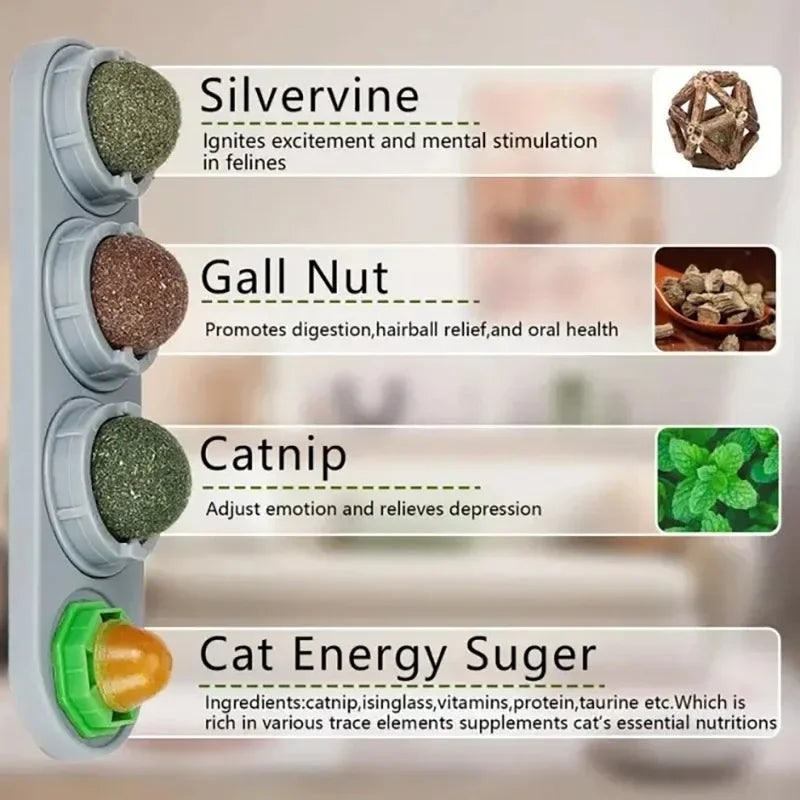 4-in-1 Rotating Catnip Silver Vine Ball