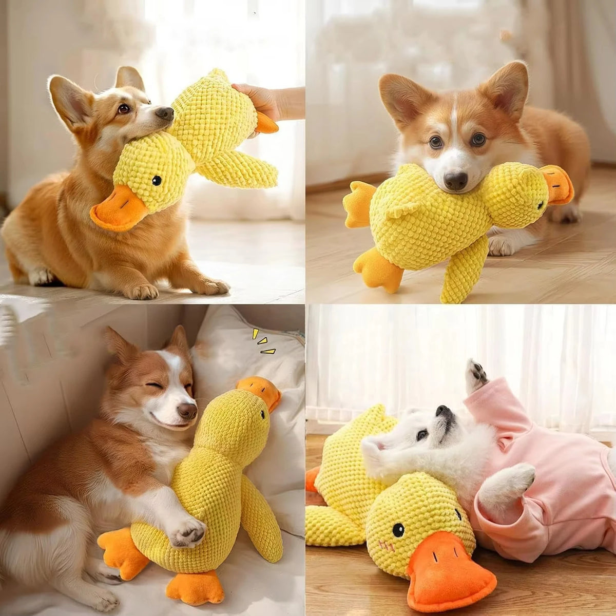 Quacking Plush Duck Dog Toy
