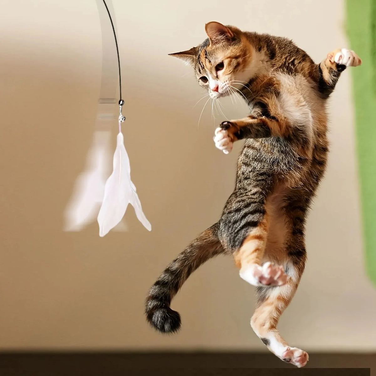 Suction Cup Cat Teaser Wand – Interactive Bell & Feather Toy
