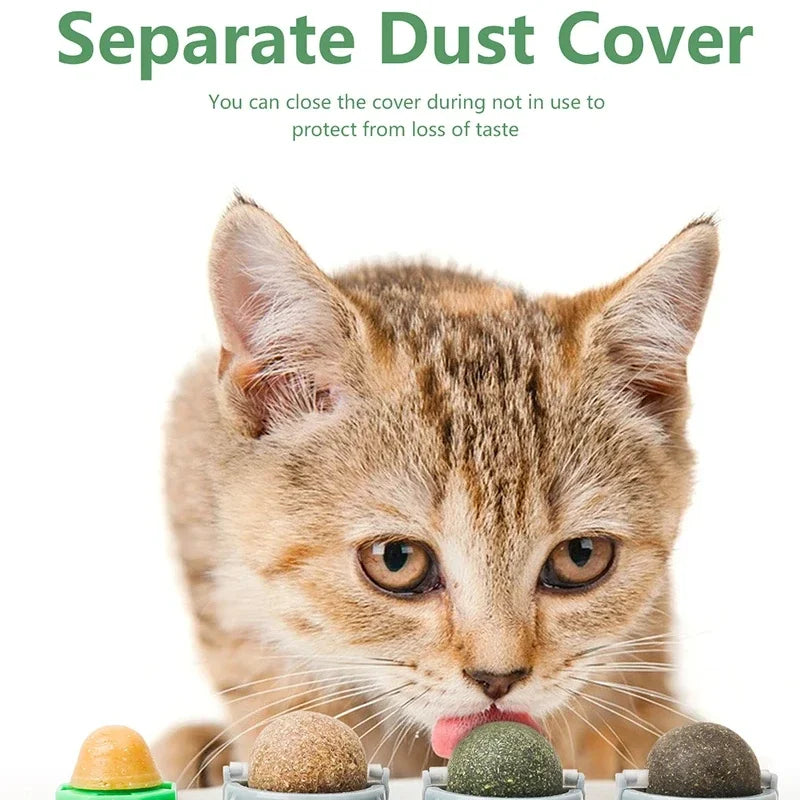 4-in-1 Rotating Catnip Silver Vine Ball