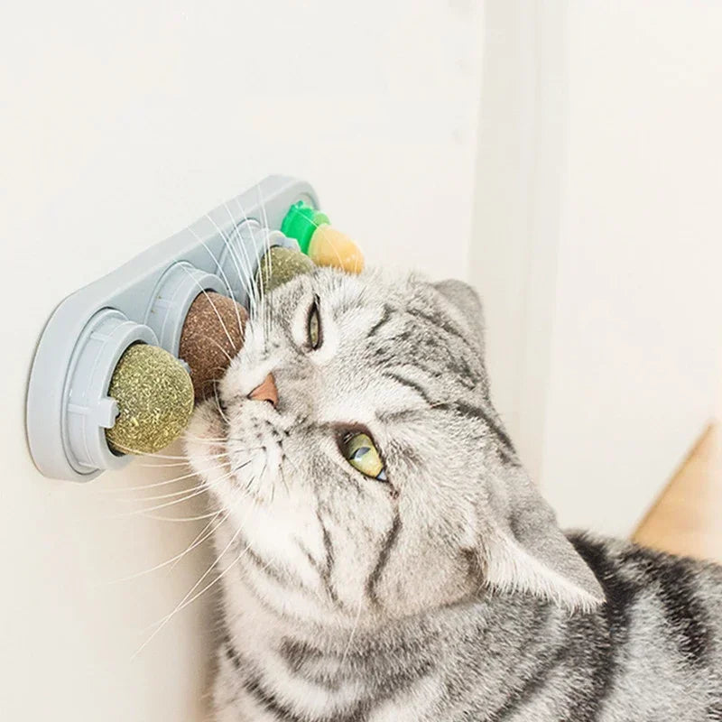 4-in-1 Rotating Catnip Silver Vine Ball
