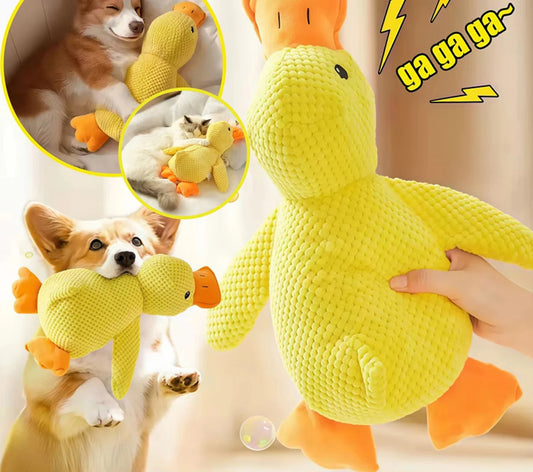Quacking Plush Duck Dog Toy
